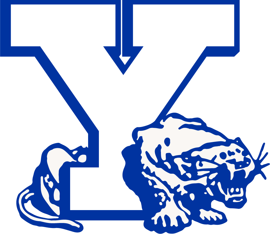 Brigham Young Cougars 1972-1982 Secondary Logo diy DTF decal sticker